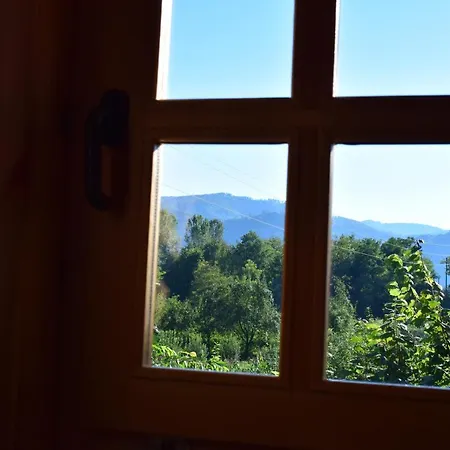 Drinska Tisina בית נופש